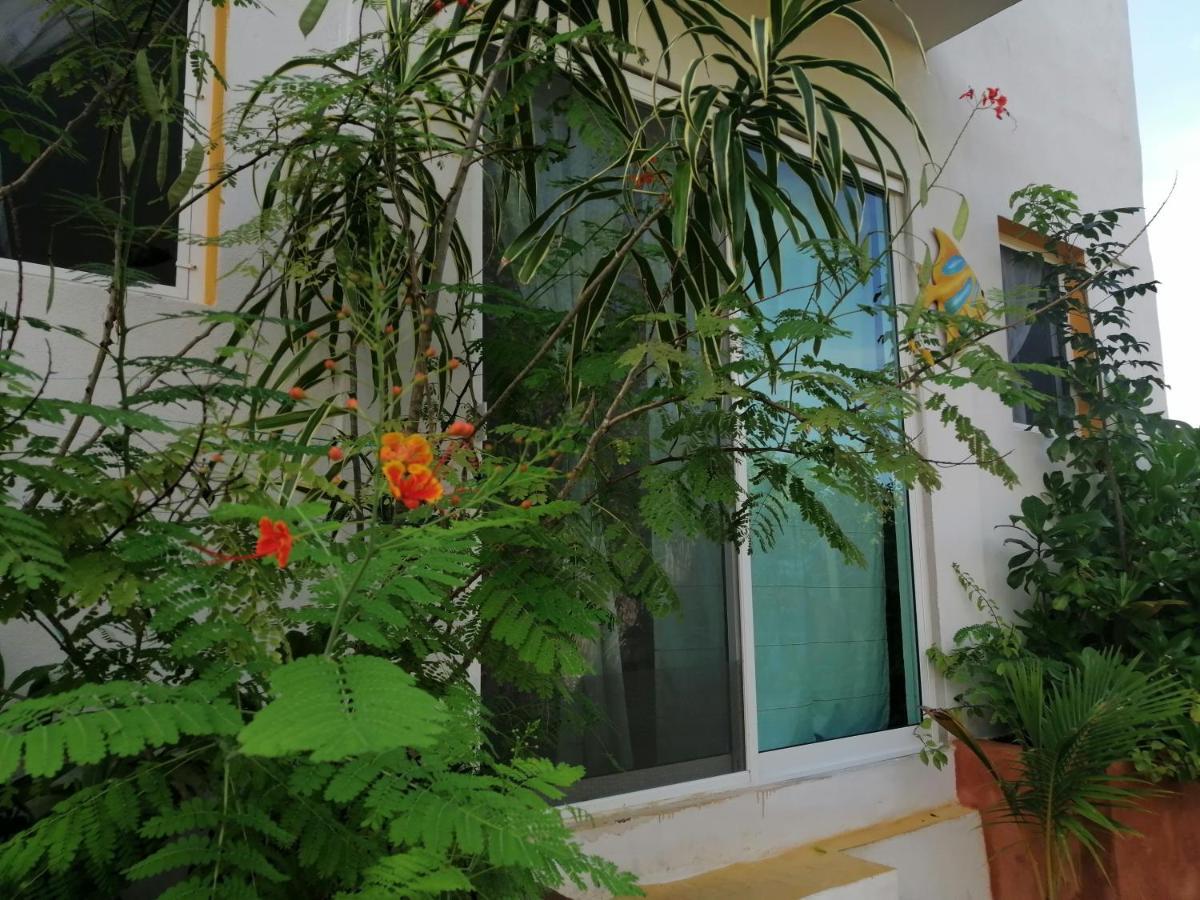 Casa Vainilla Holbox Island Aparthotel Buitenkant foto