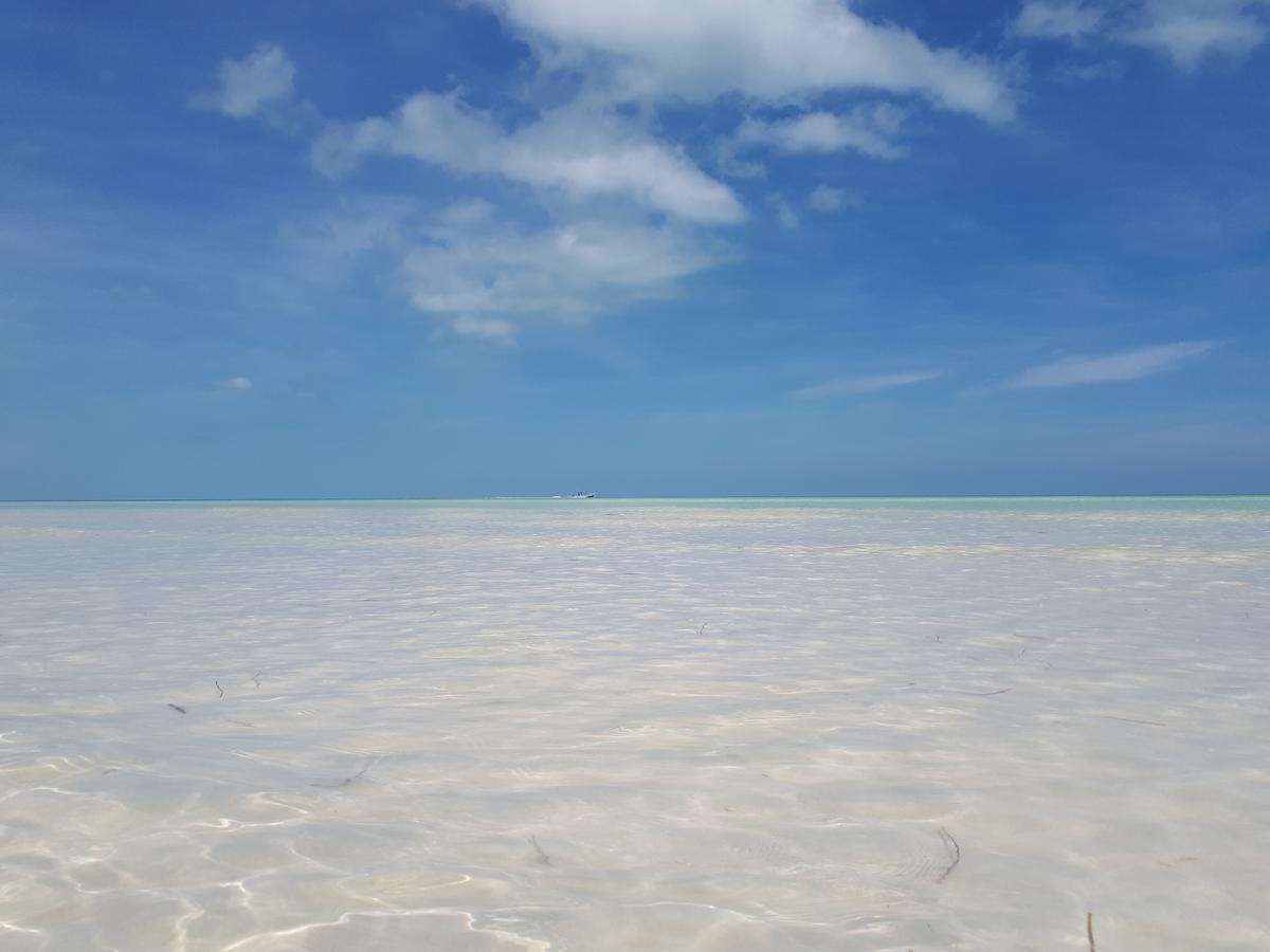 Casa Vainilla Holbox Island Aparthotel Buitenkant foto